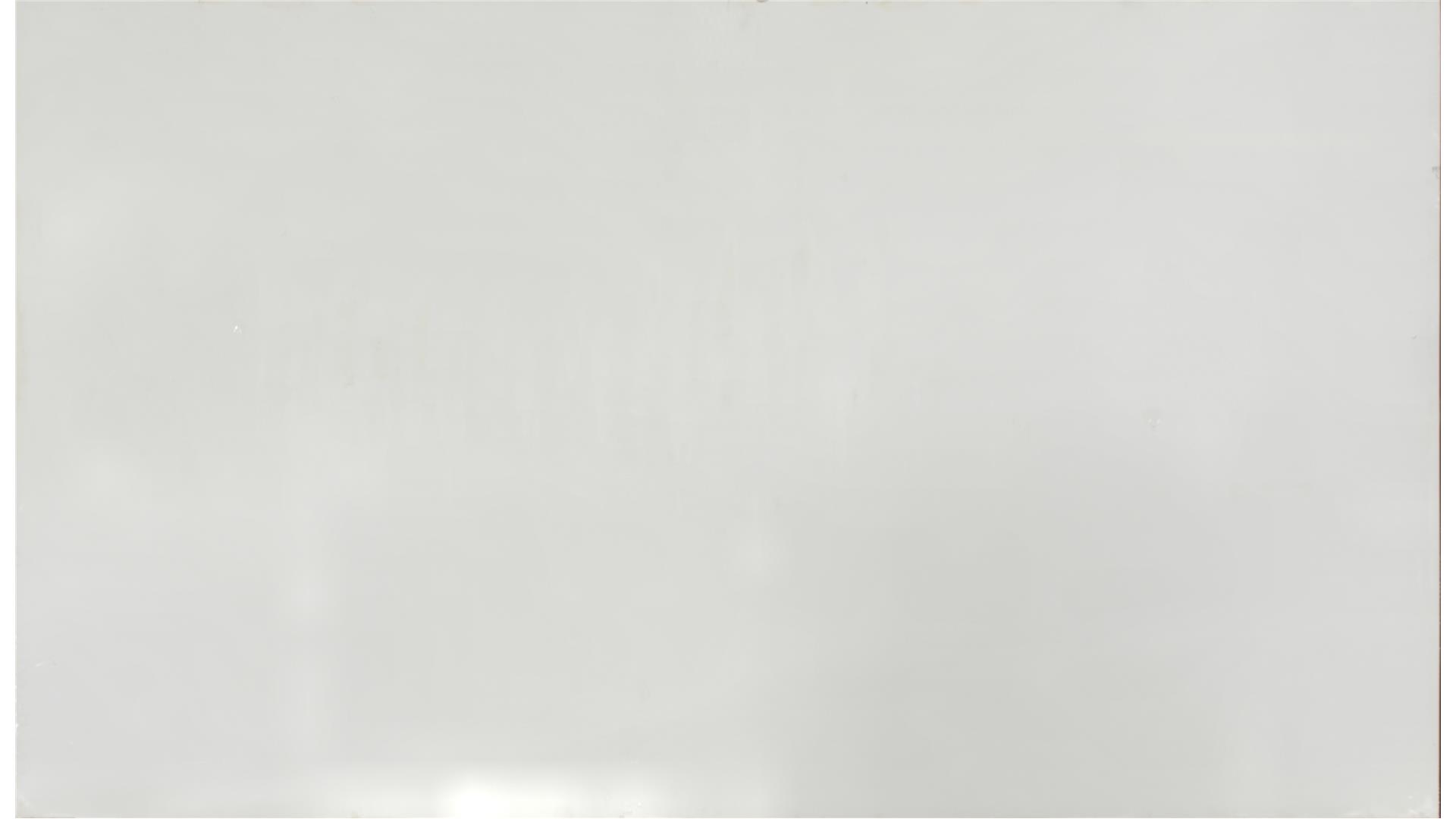 Arctic White QUARTZ Slabs