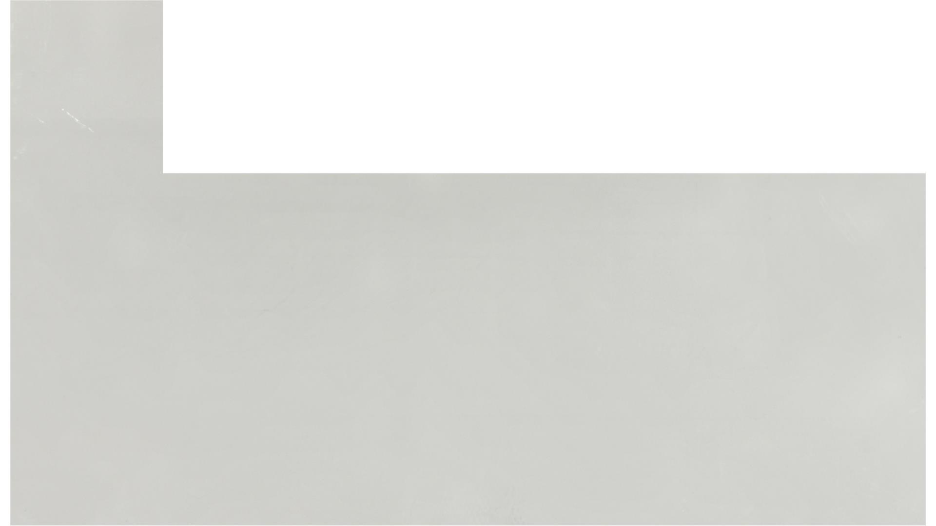 SIMPLY WHITE QUARTZ Slabs