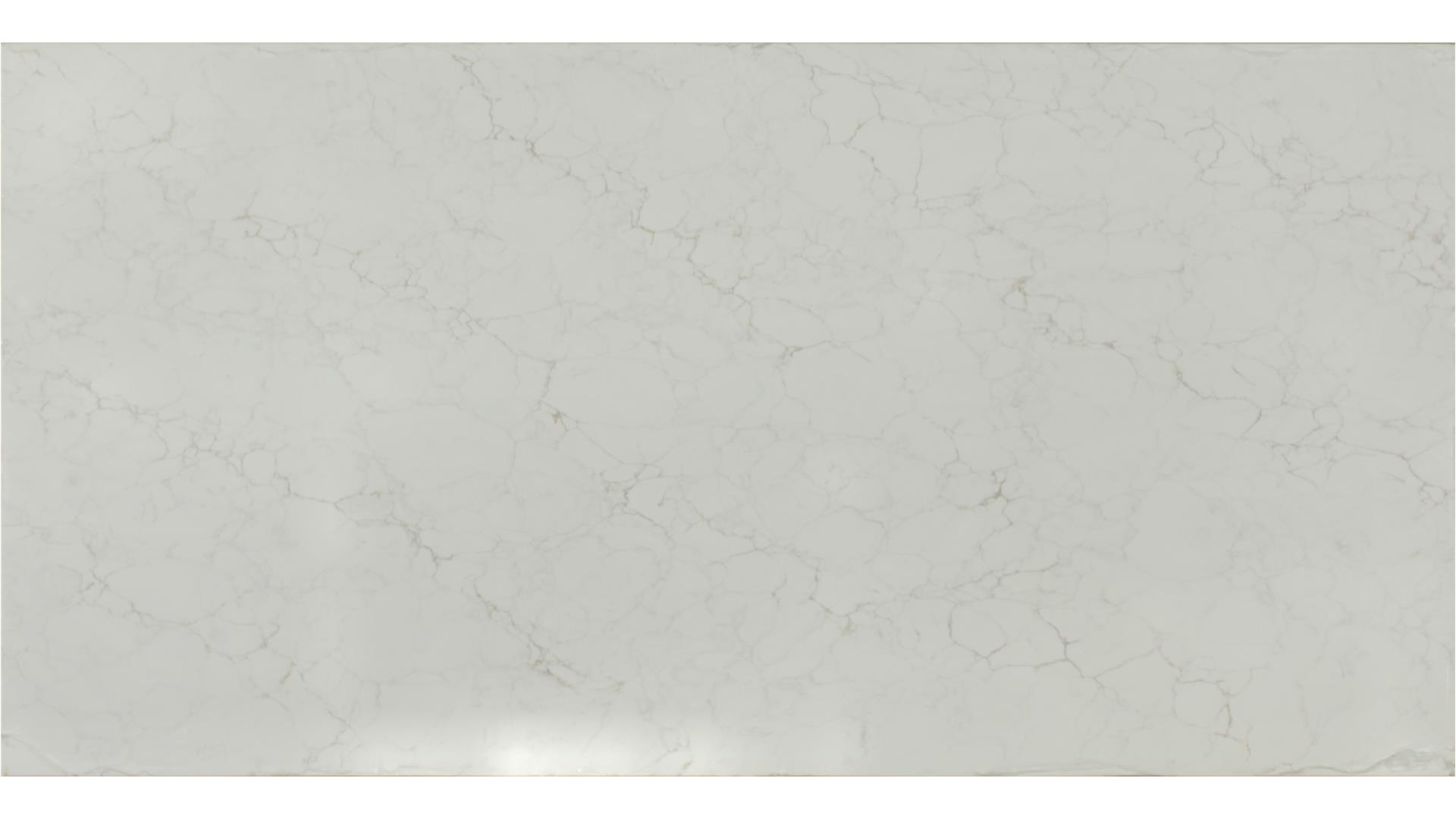 Calacatta Fioressa QUARTZ Slabs