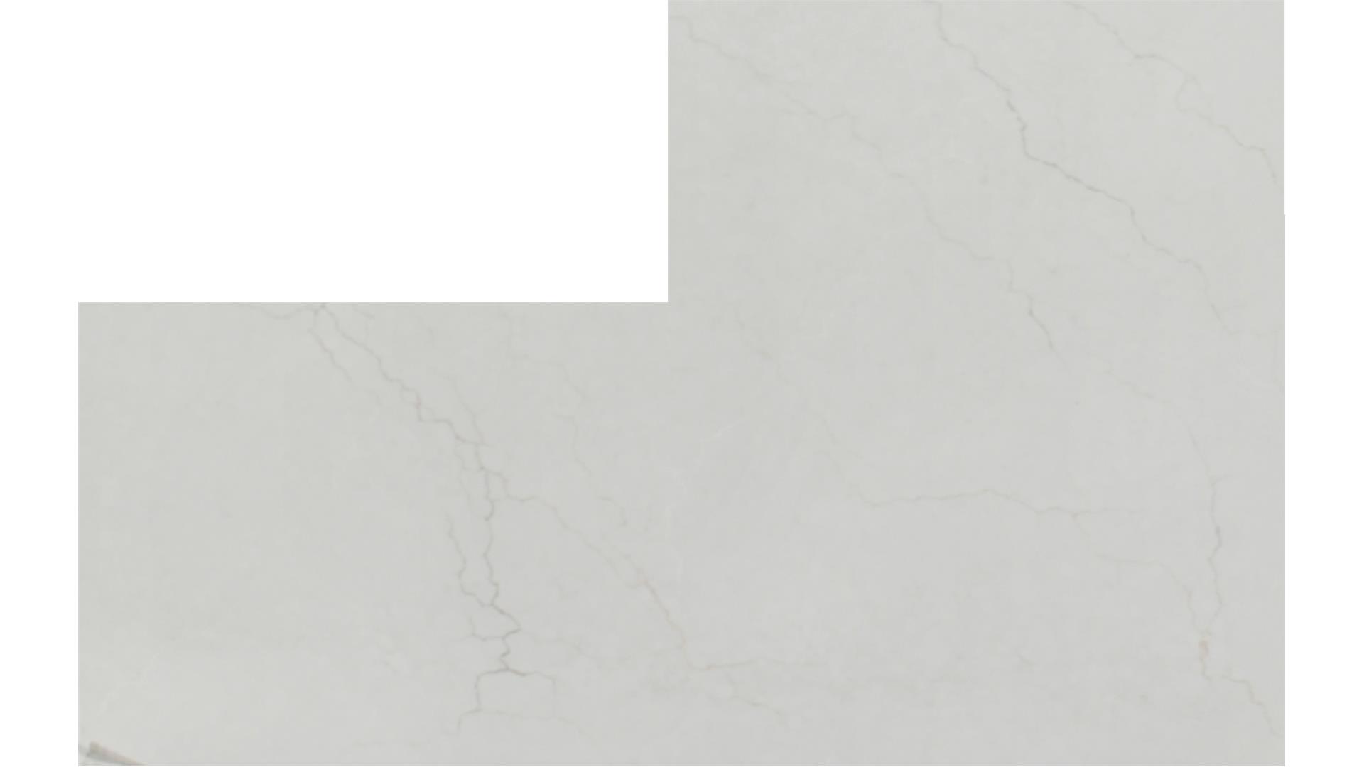 Calacatta Miraggio Cove QUARTZ Slabs