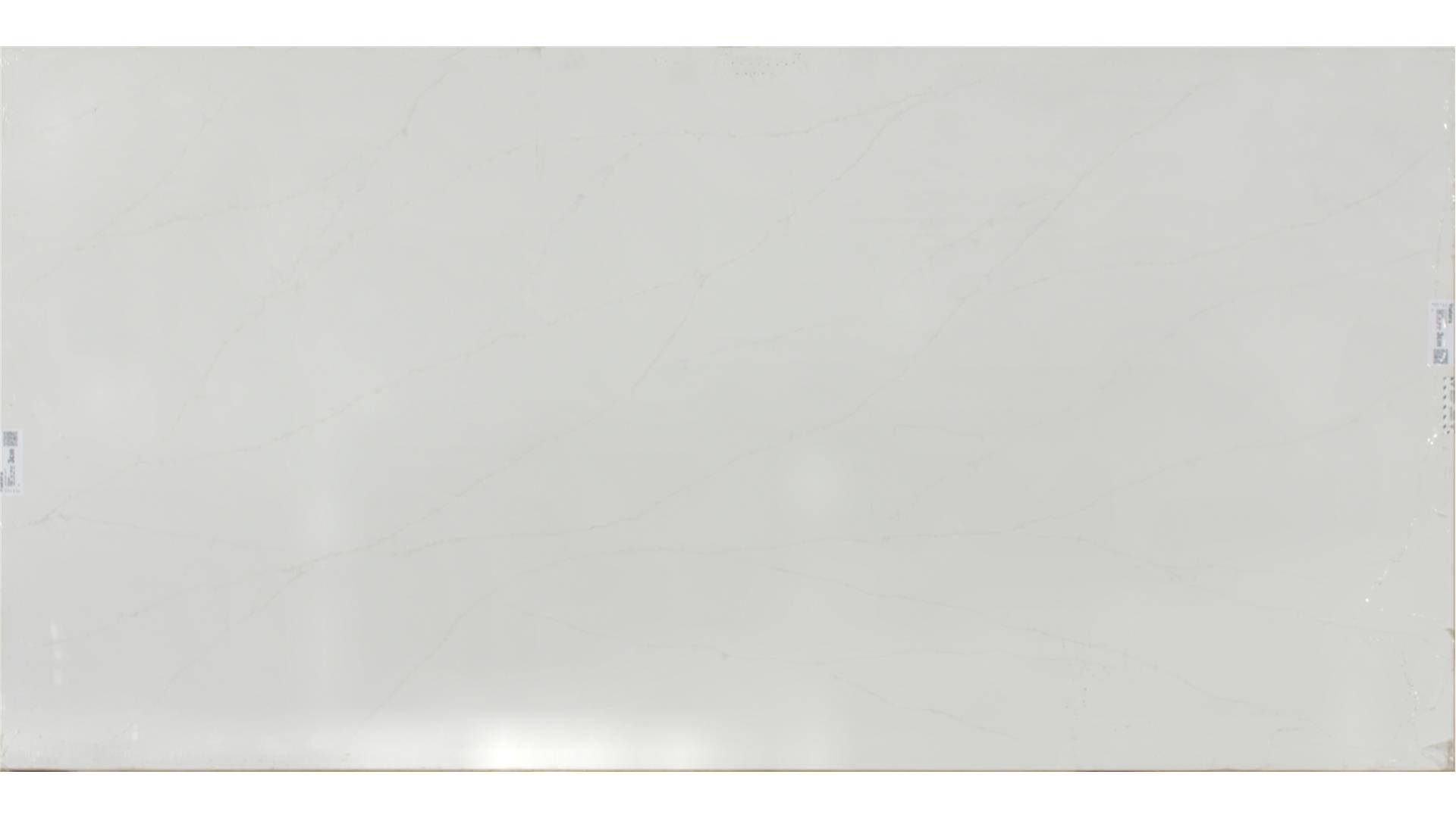 Delicato  QUARTZ Slabs