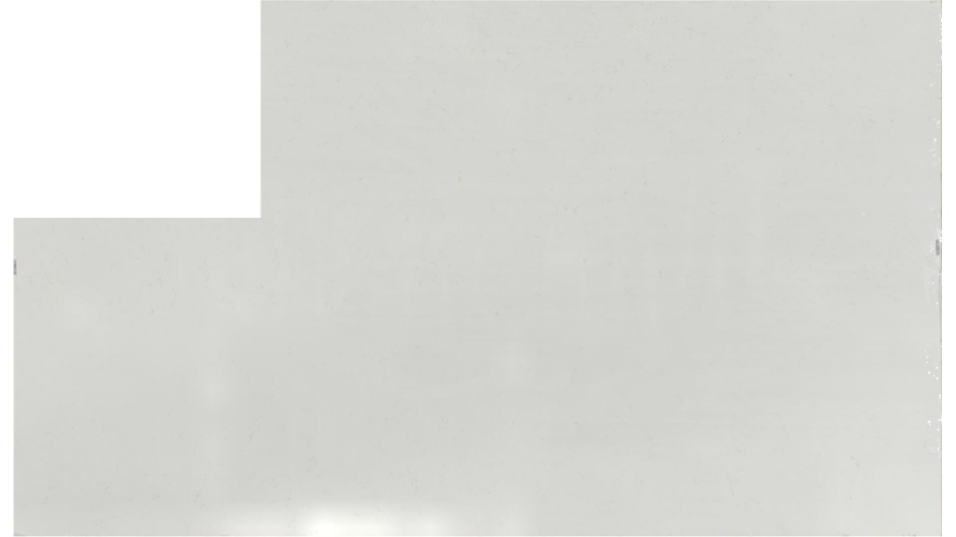 CARRARA ROMA QUARTZ Slabs