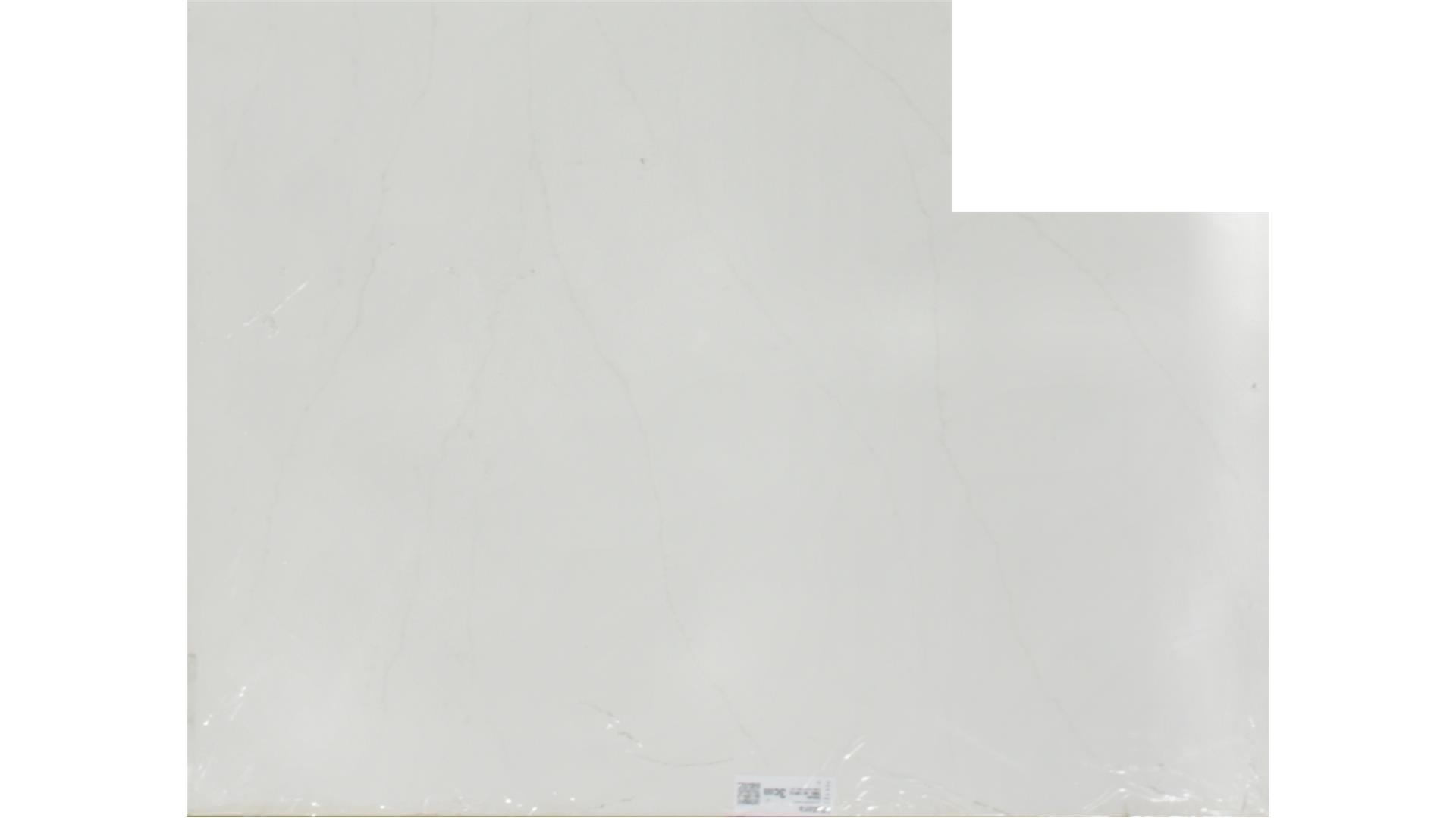 Delicato  QUARTZ Slabs