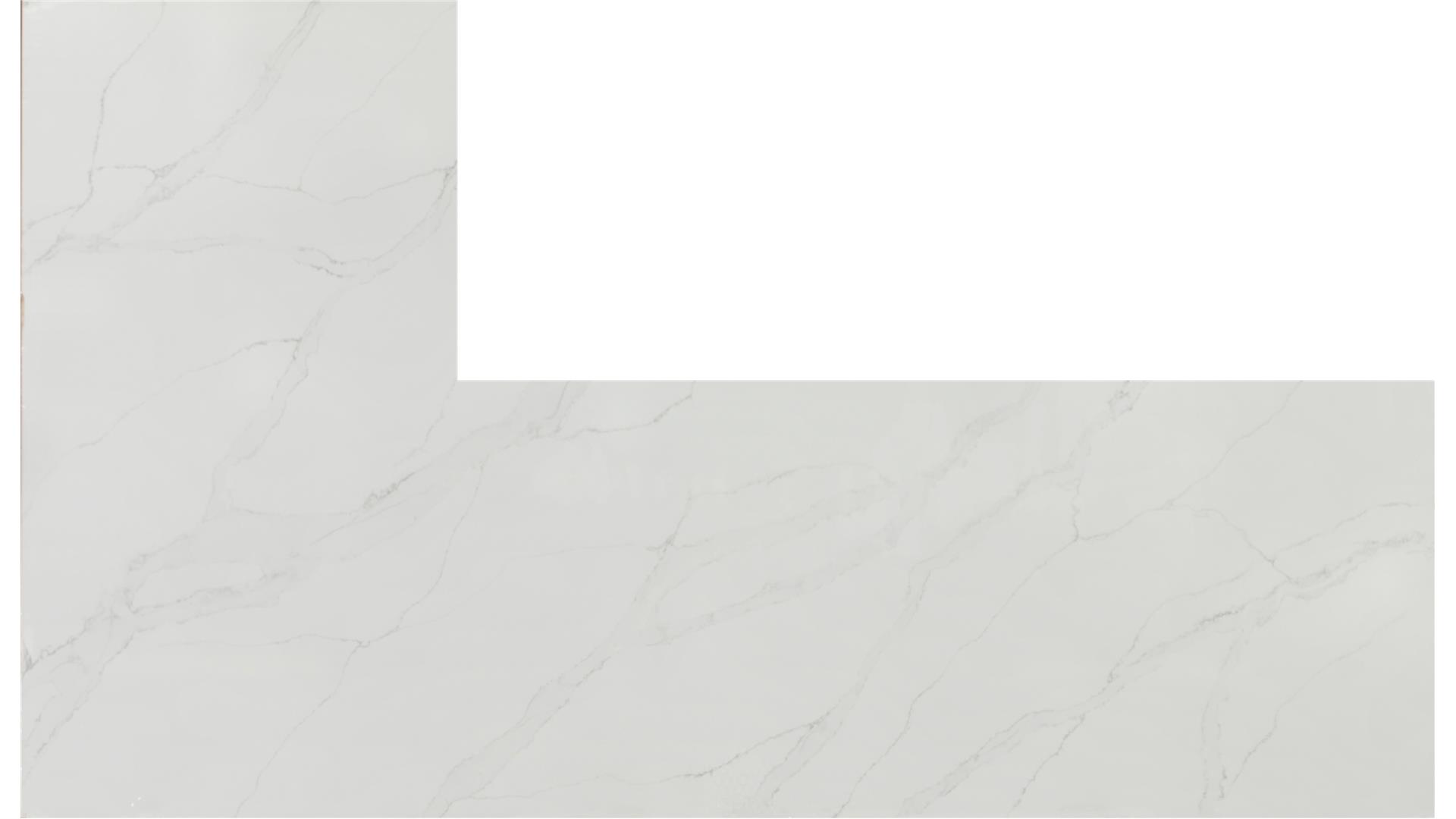 Calacatta Izaro QUARTZ Slabs