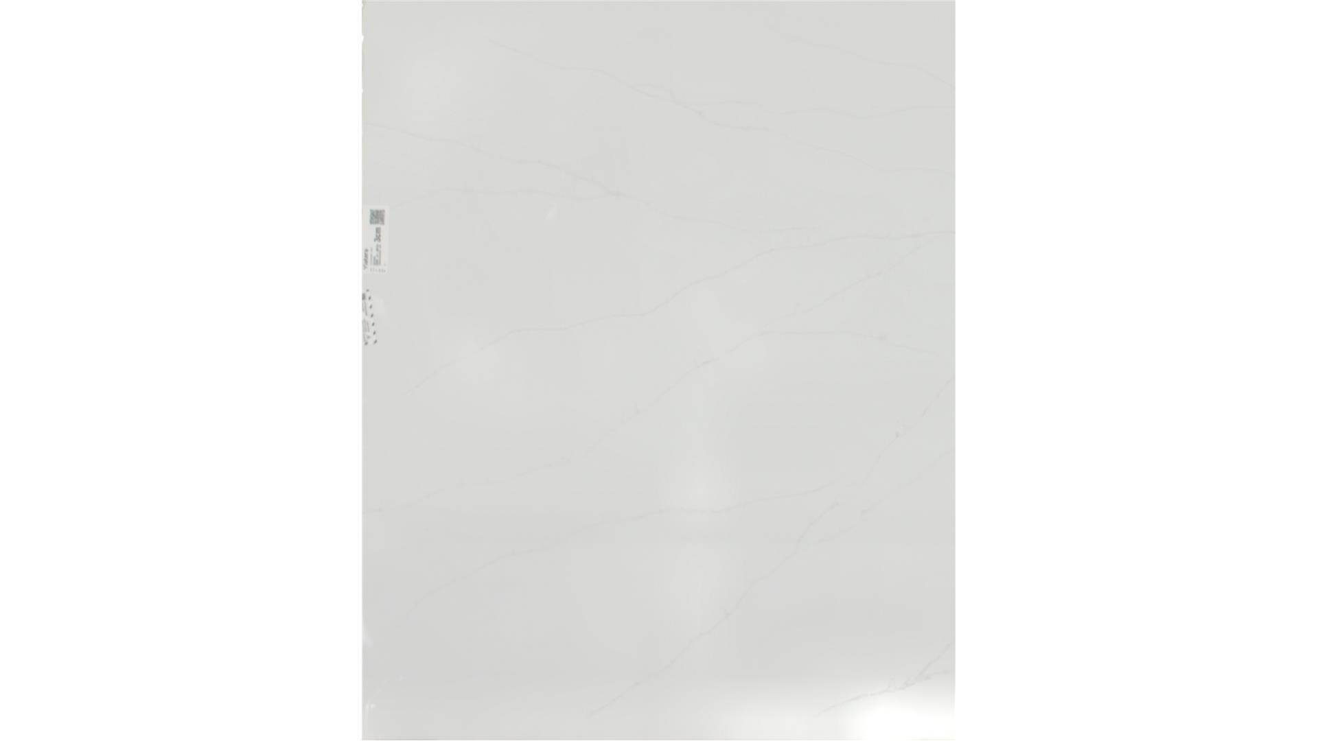 Delicato  QUARTZ Slabs