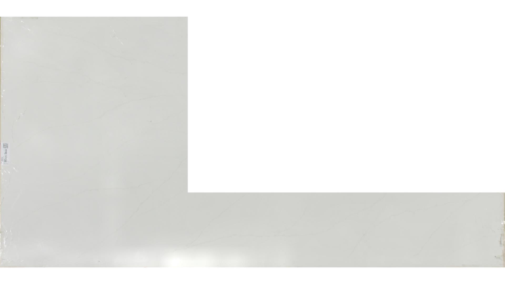 Delicato  QUARTZ Slabs