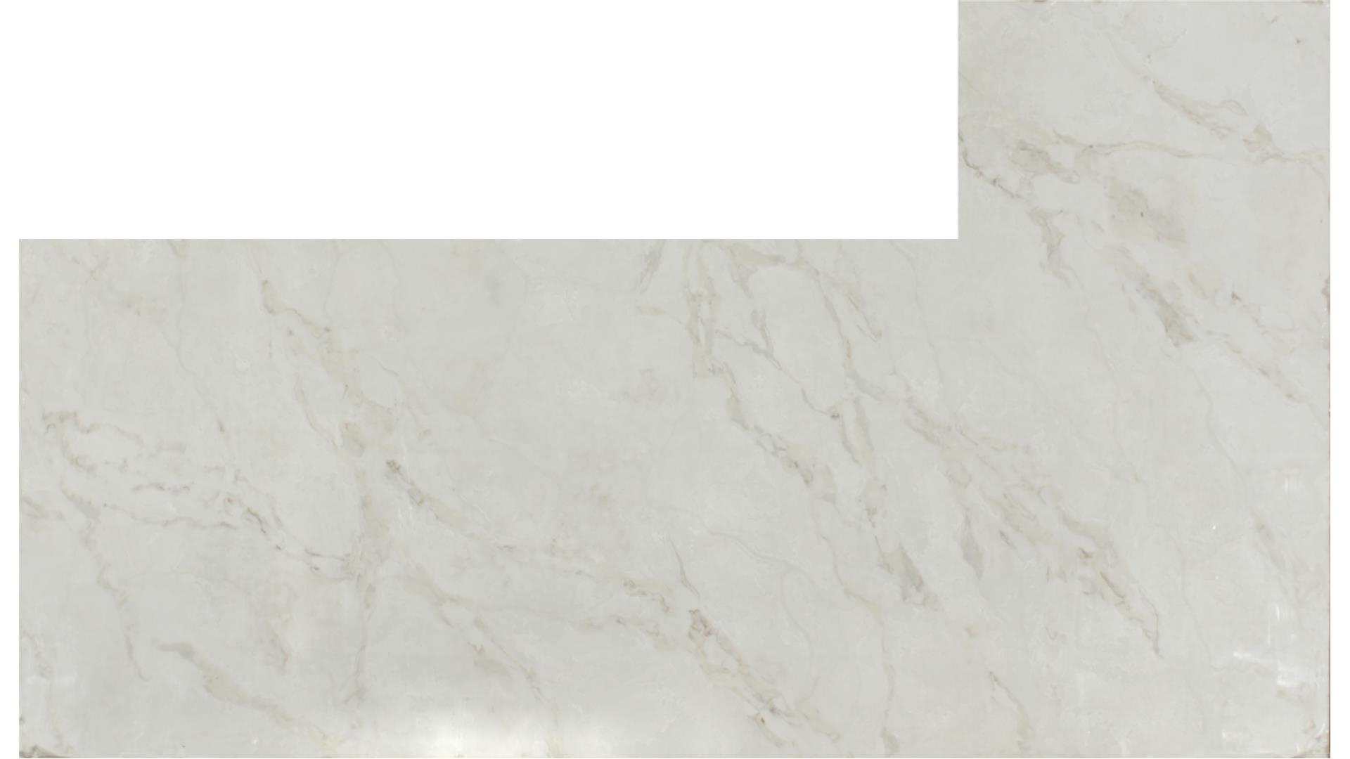Calacatta Aravine QUARTZ Slabs
