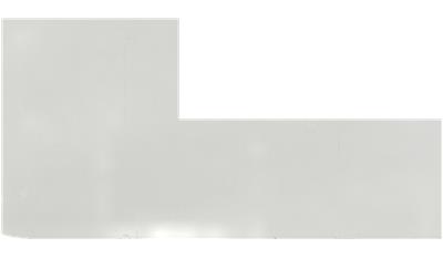 Arctic White QUARTZ