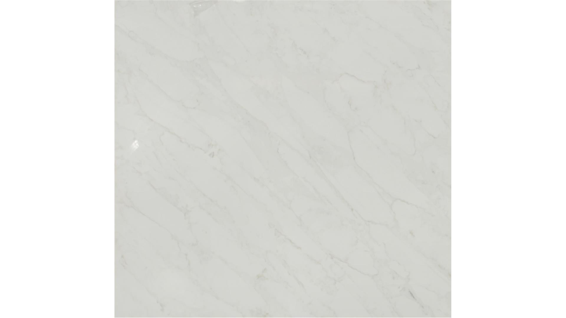 Calacatta Premata QUARTZ Slabs