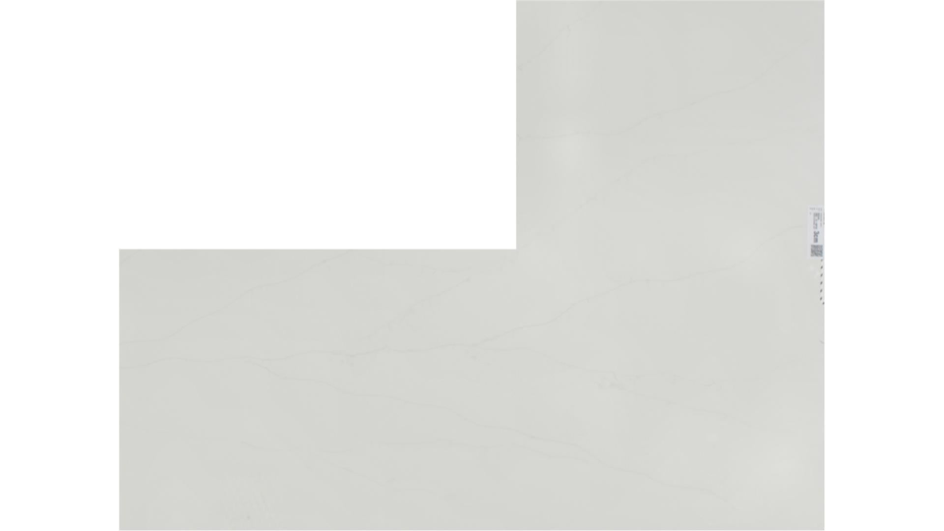 Delicato  QUARTZ Slabs