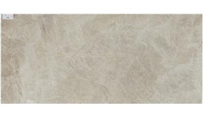 Taj Mahal QUARTZITE