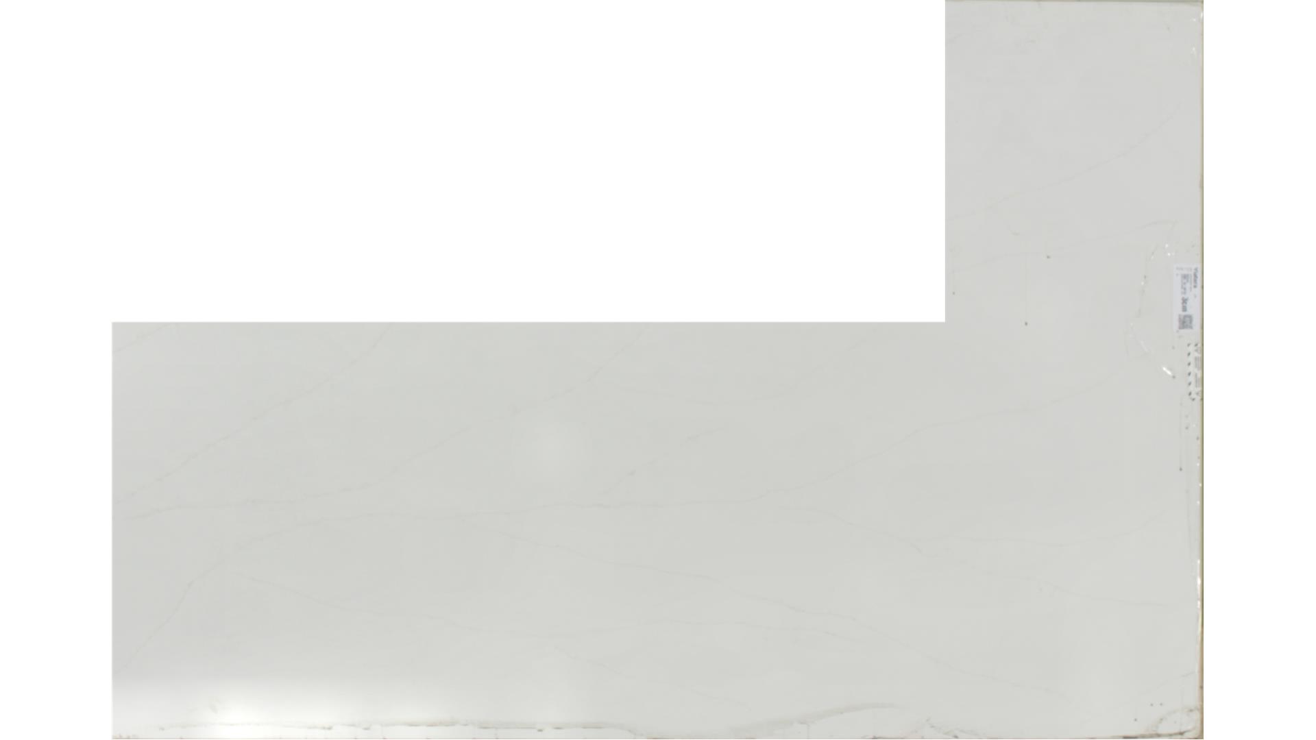 Delicato  QUARTZ Slabs
