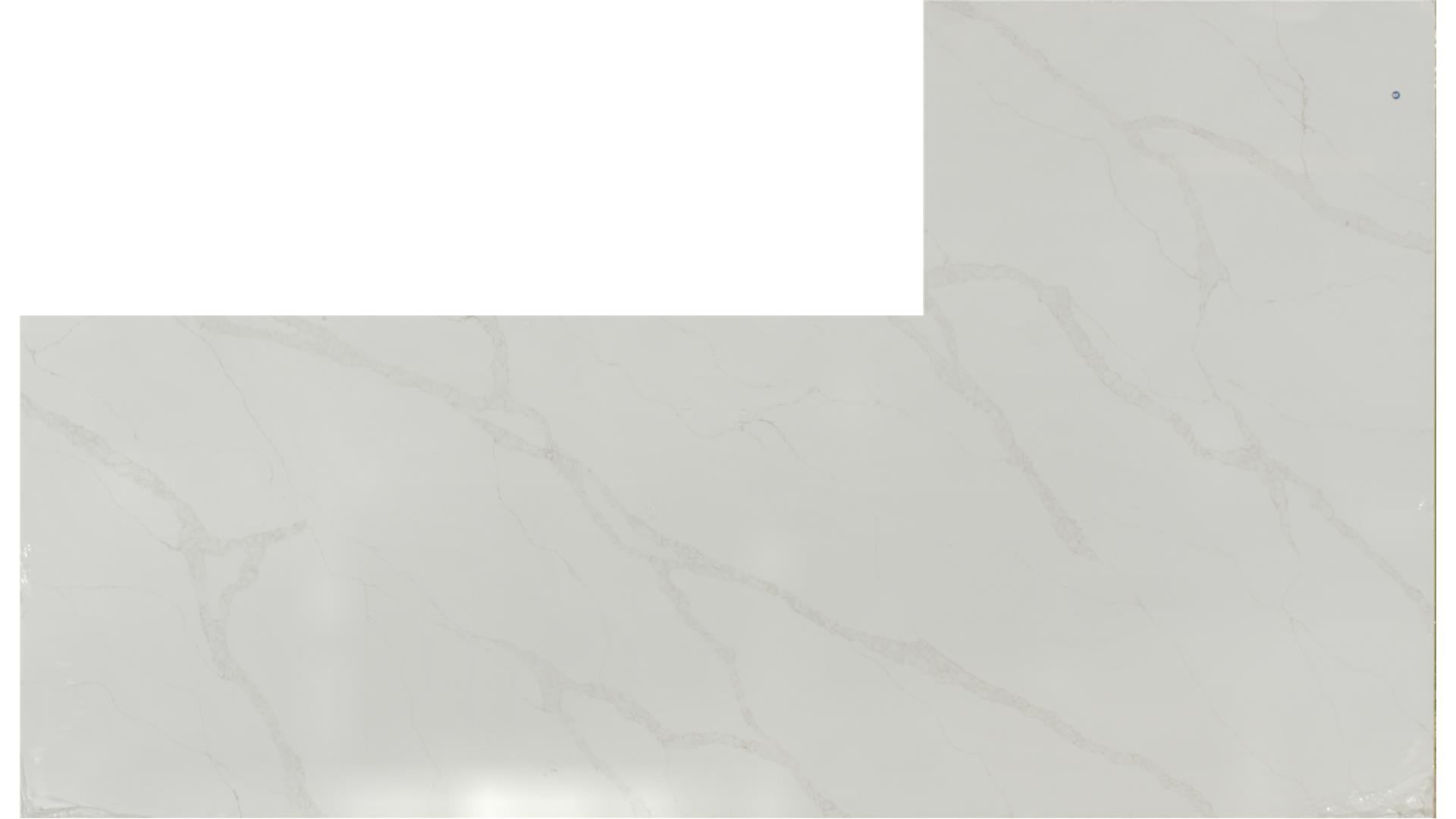 CALACATTA ELYSIO QUARTZ Slabs