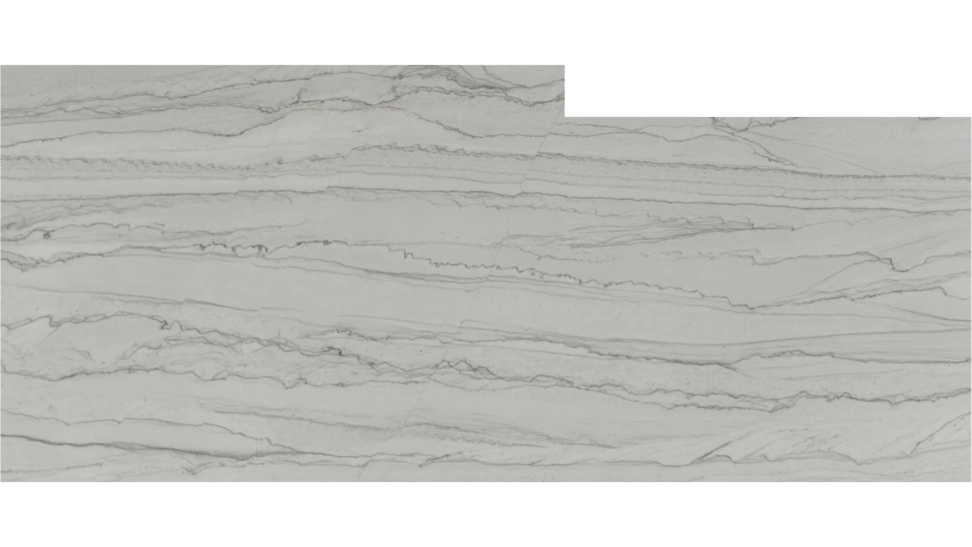 Florida Wave QUARTZITE Slabs