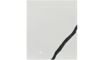 CALACATTA LUMANYX QUARTZ