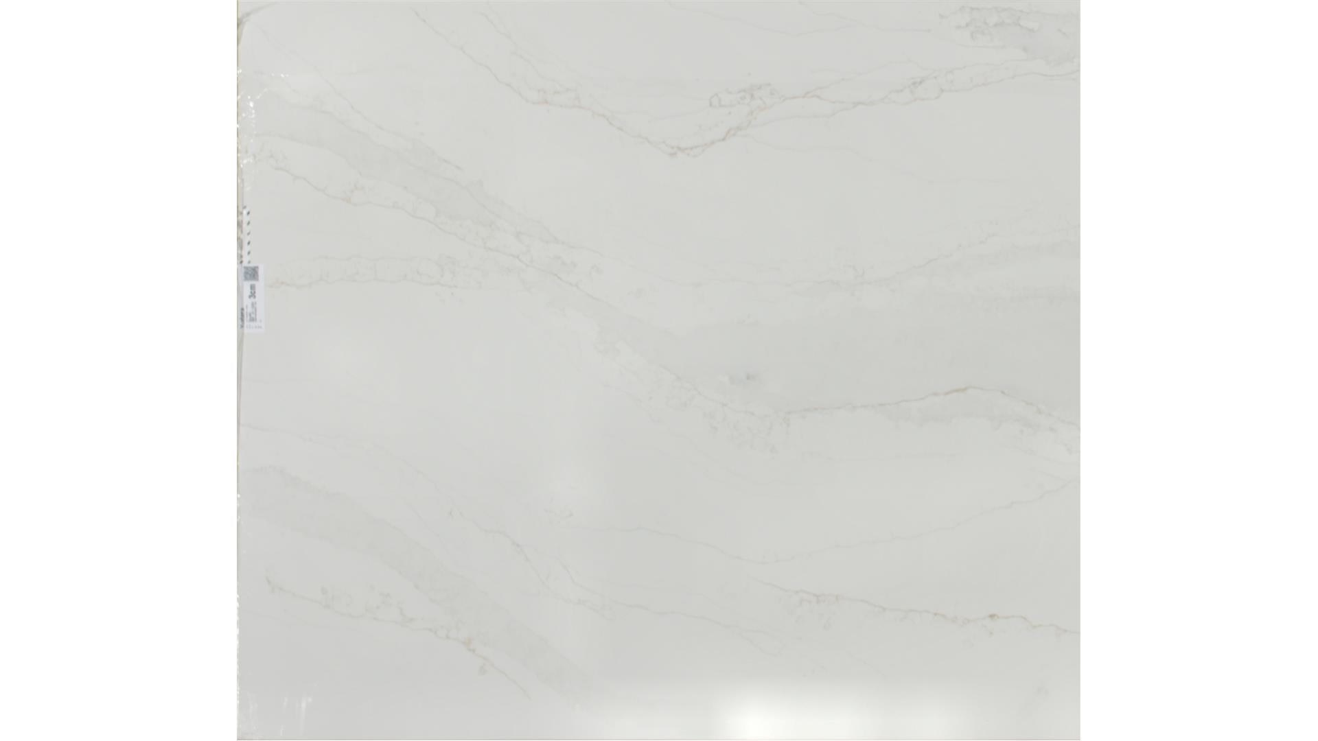 Splendor  QUARTZ Slabs