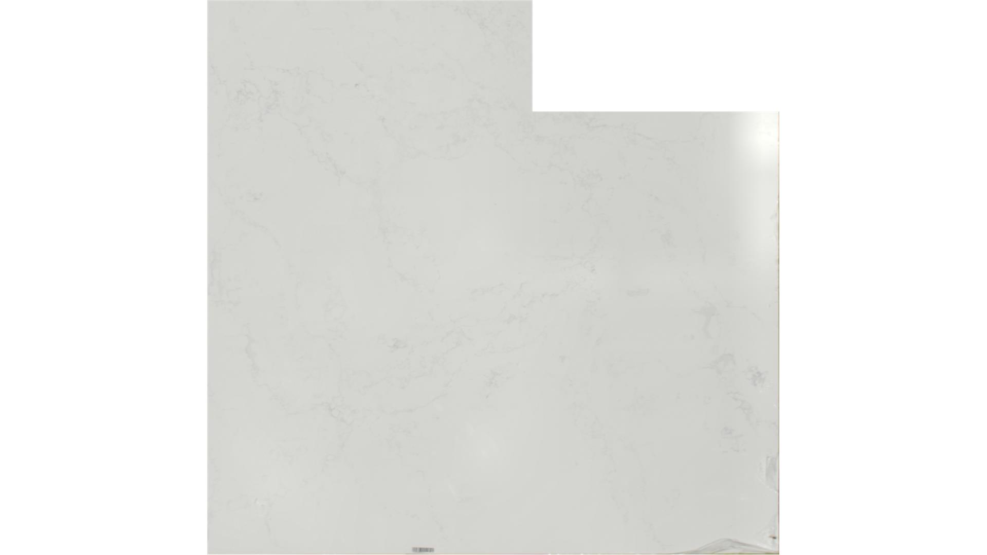 Arabescato Mountain QUARTZ Slabs