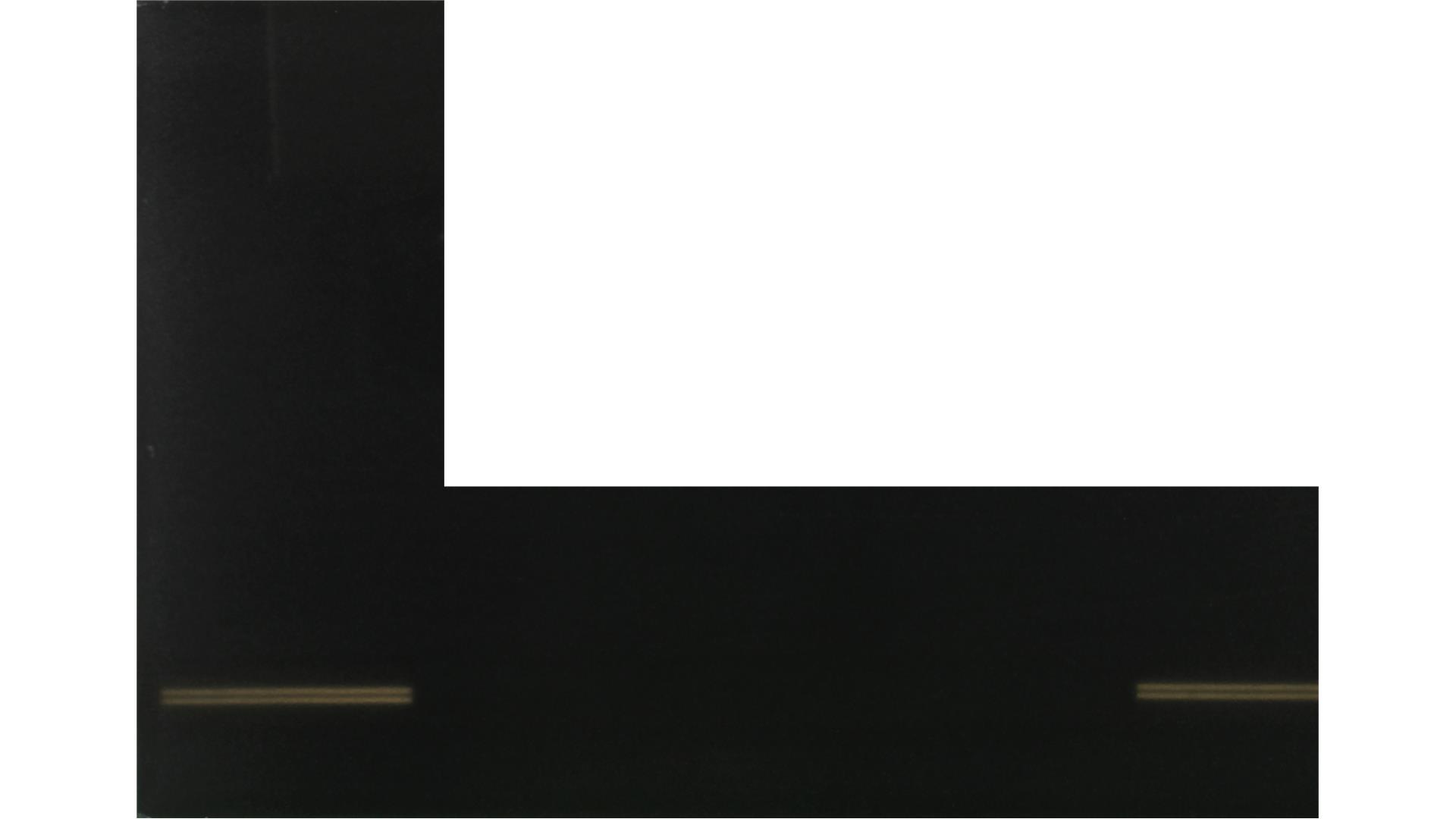 PREMIUM BLACK GRANITE Slabs