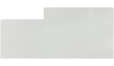 Arctic White QUARTZ