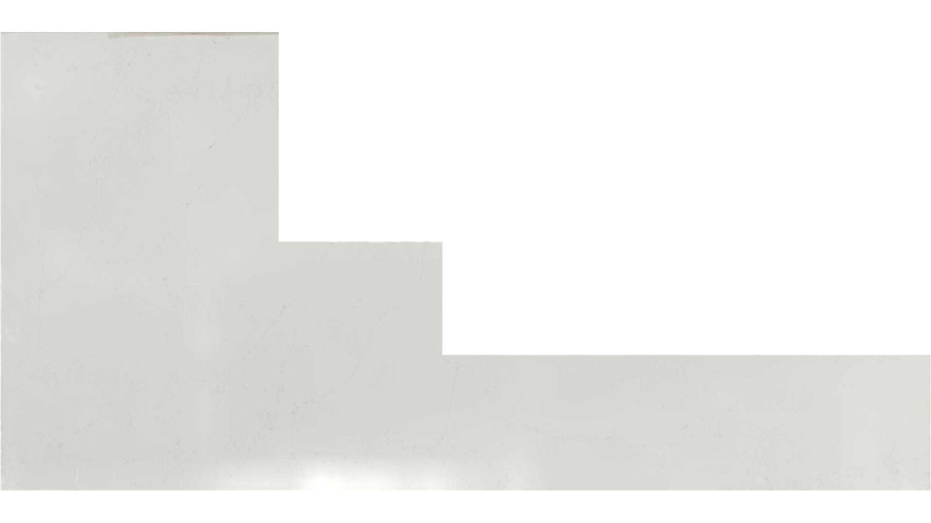 Calacatta Botanica QUARTZ Slabs