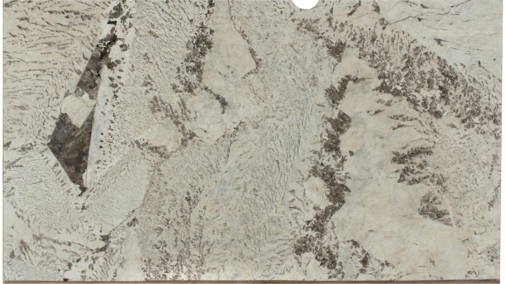 Monalisa GRANITE Slabs