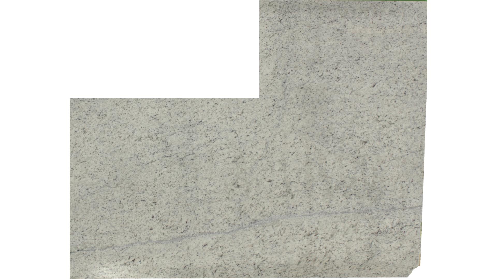 DALLAS WHITE GRANITE Slabs