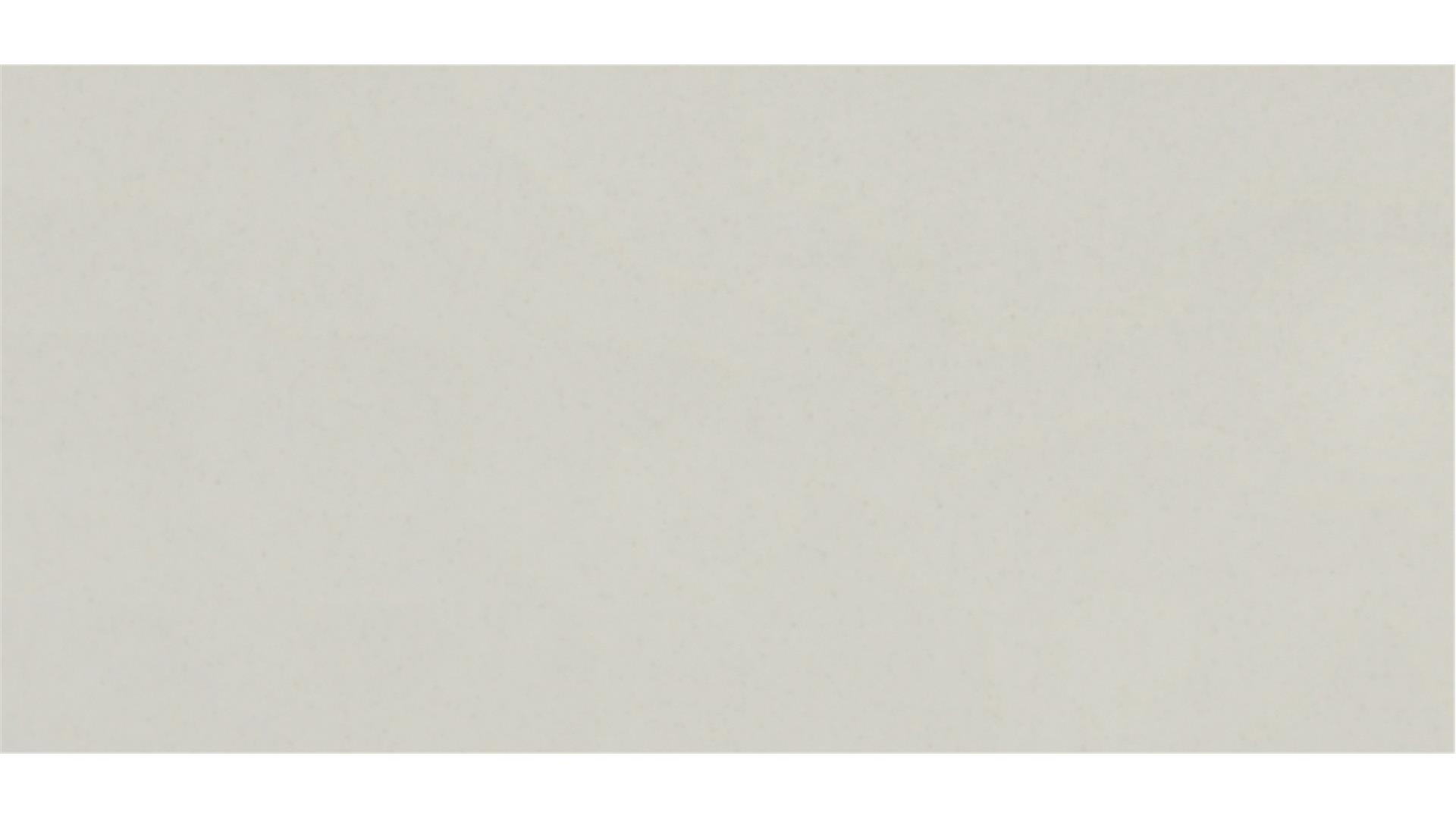 Frost White QUARTZ Slabs