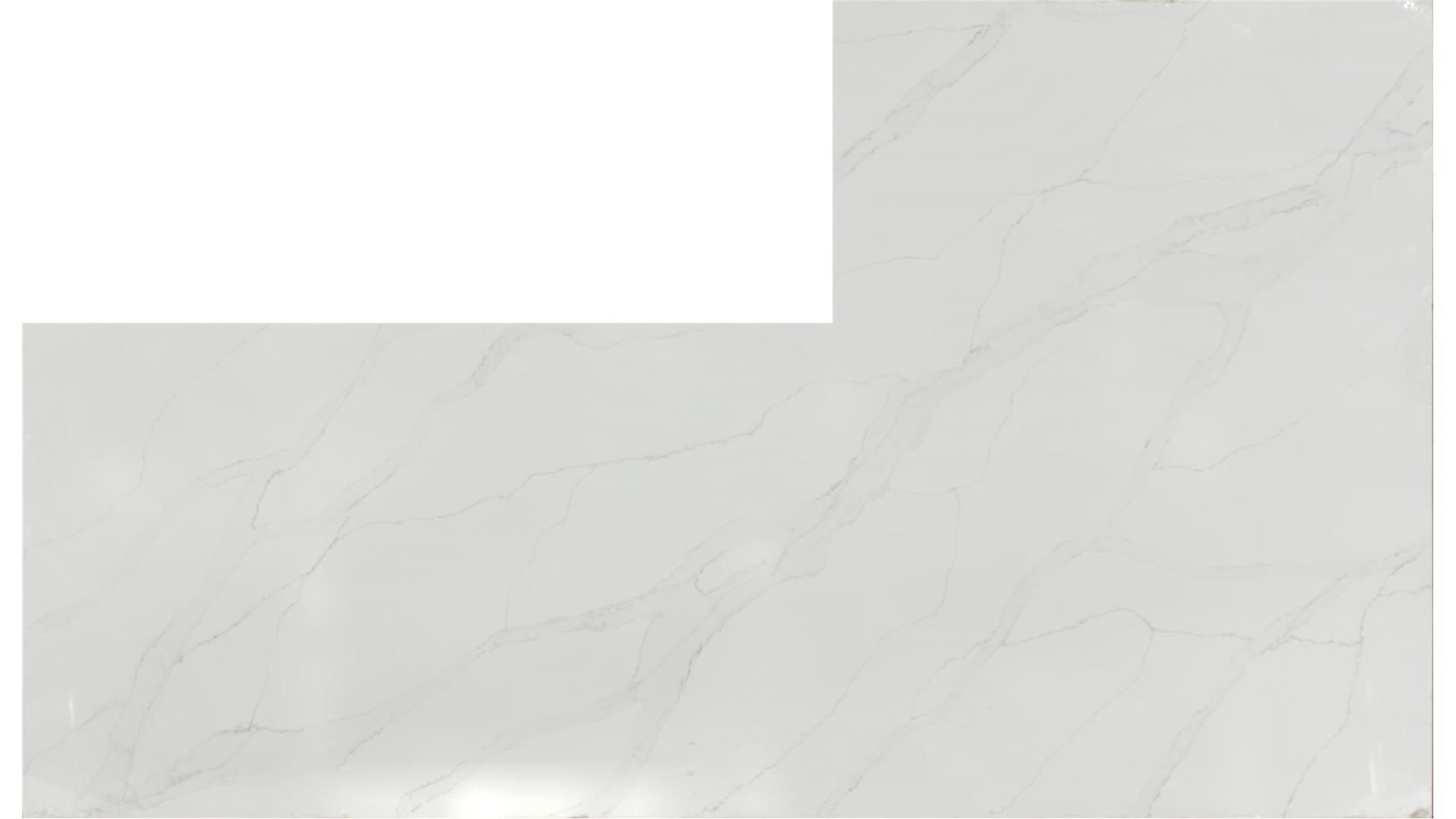 Calacatta Izaro QUARTZ Slabs