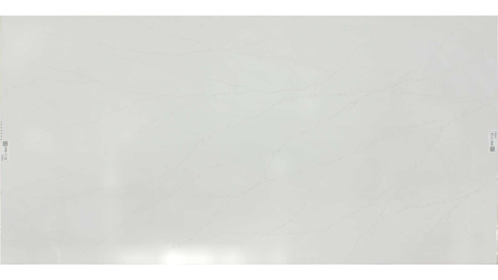 Delicato  QUARTZ Slabs