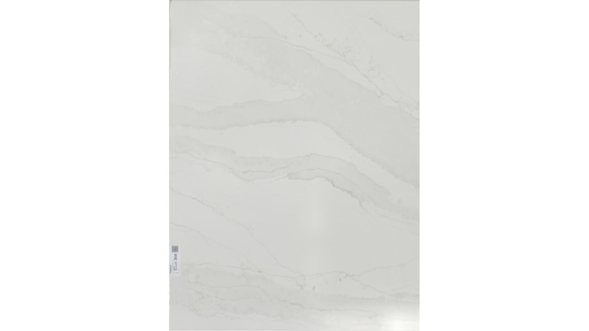 Splendor  QUARTZ Slabs