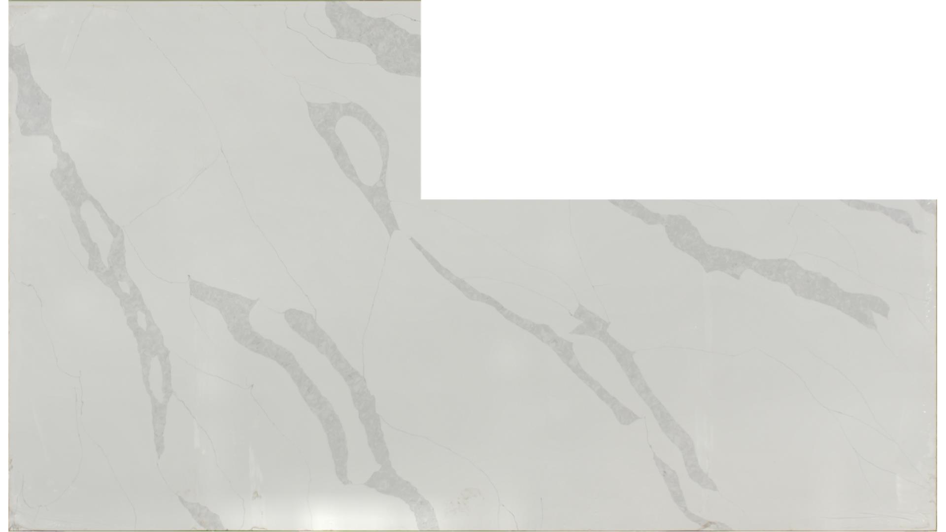 Calacatta Leon QUARTZ Slabs