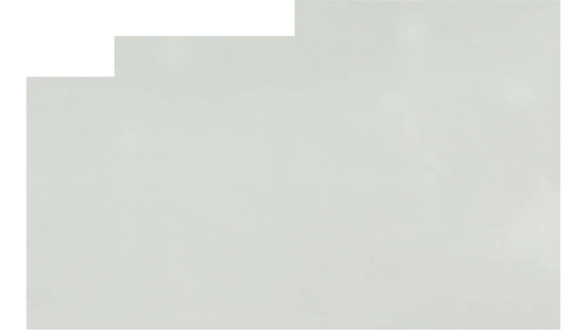 Arctic White QUARTZ Slabs
