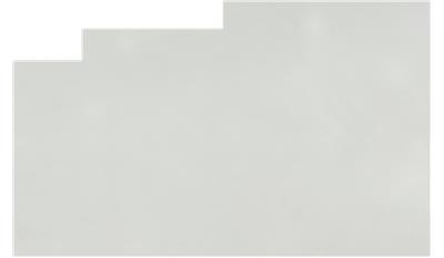 Arctic White QUARTZ