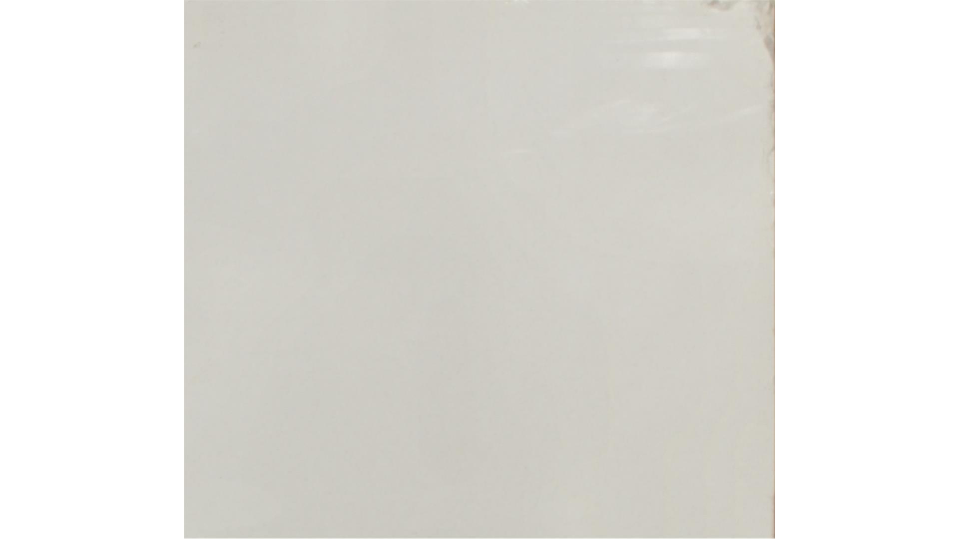 Frost White QUARTZ Slabs