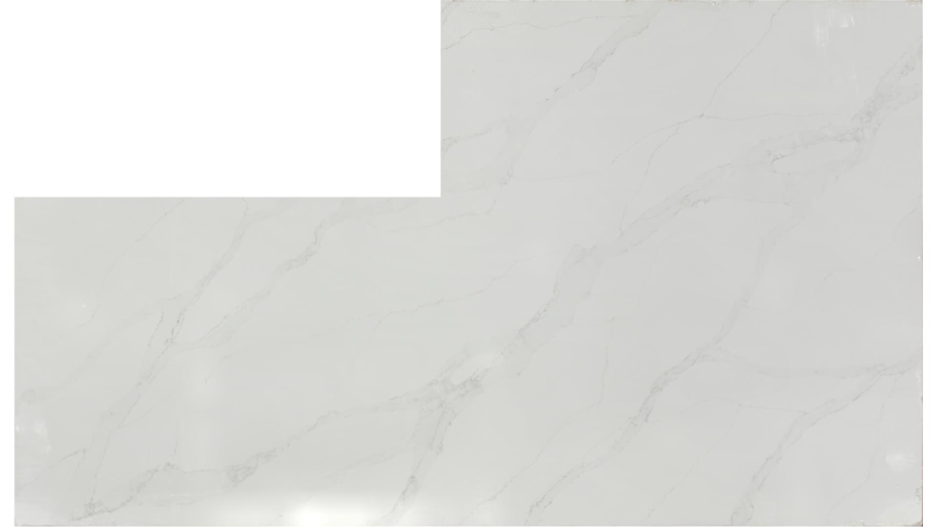 Calacatta Izaro QUARTZ Slabs