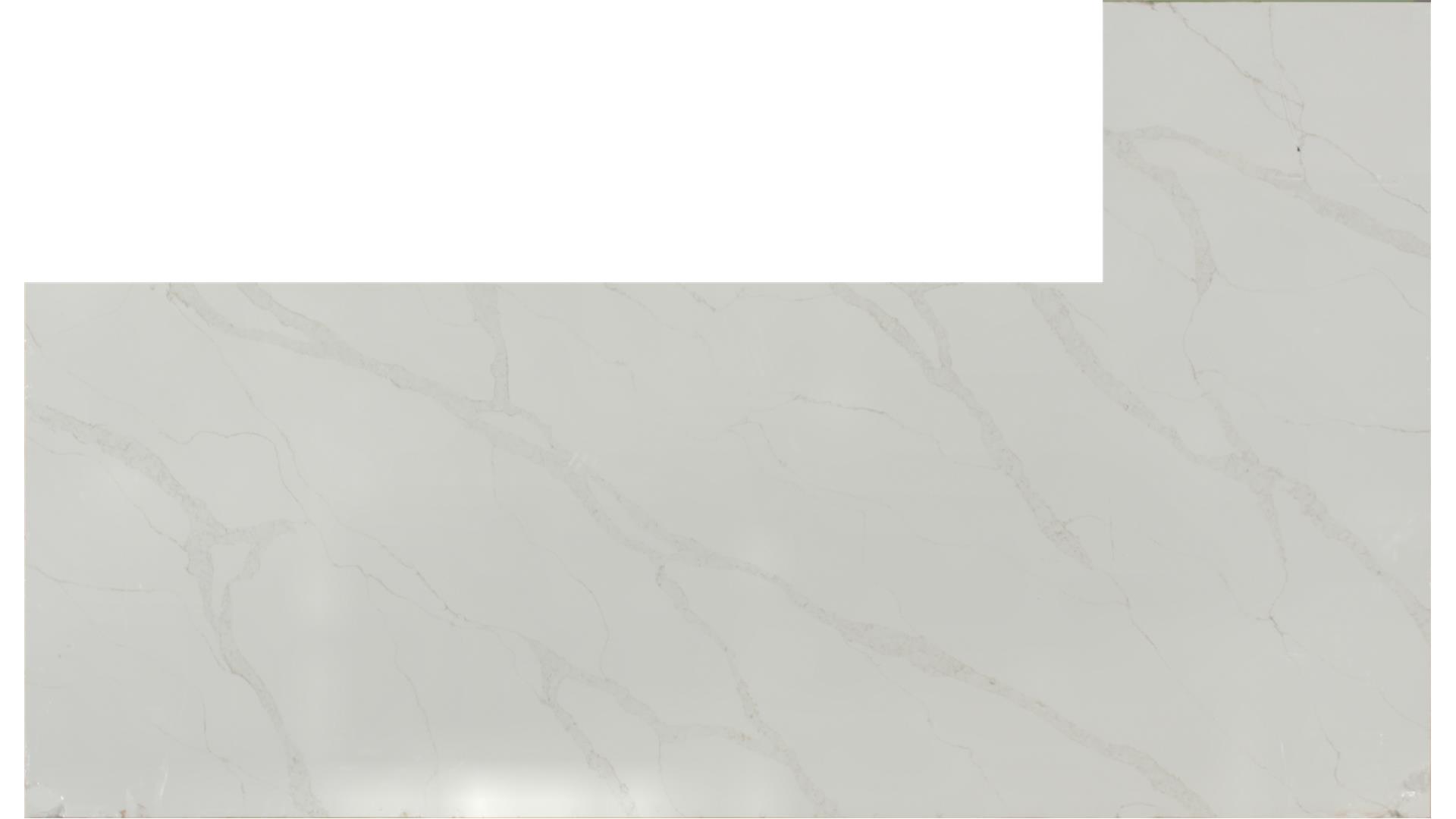 CALACATTA ELYSIO QUARTZ Slabs