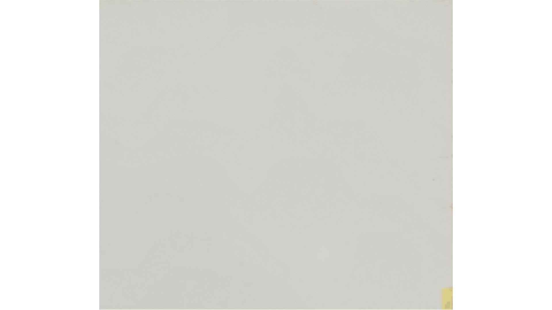 ORGANIC WHITE QUARTZ Slabs