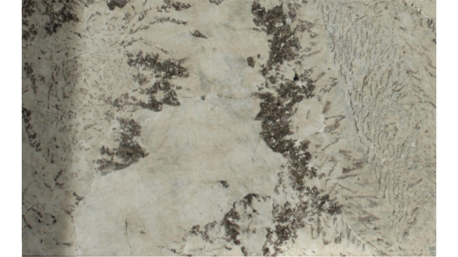 Monalisa GRANITE Slabs