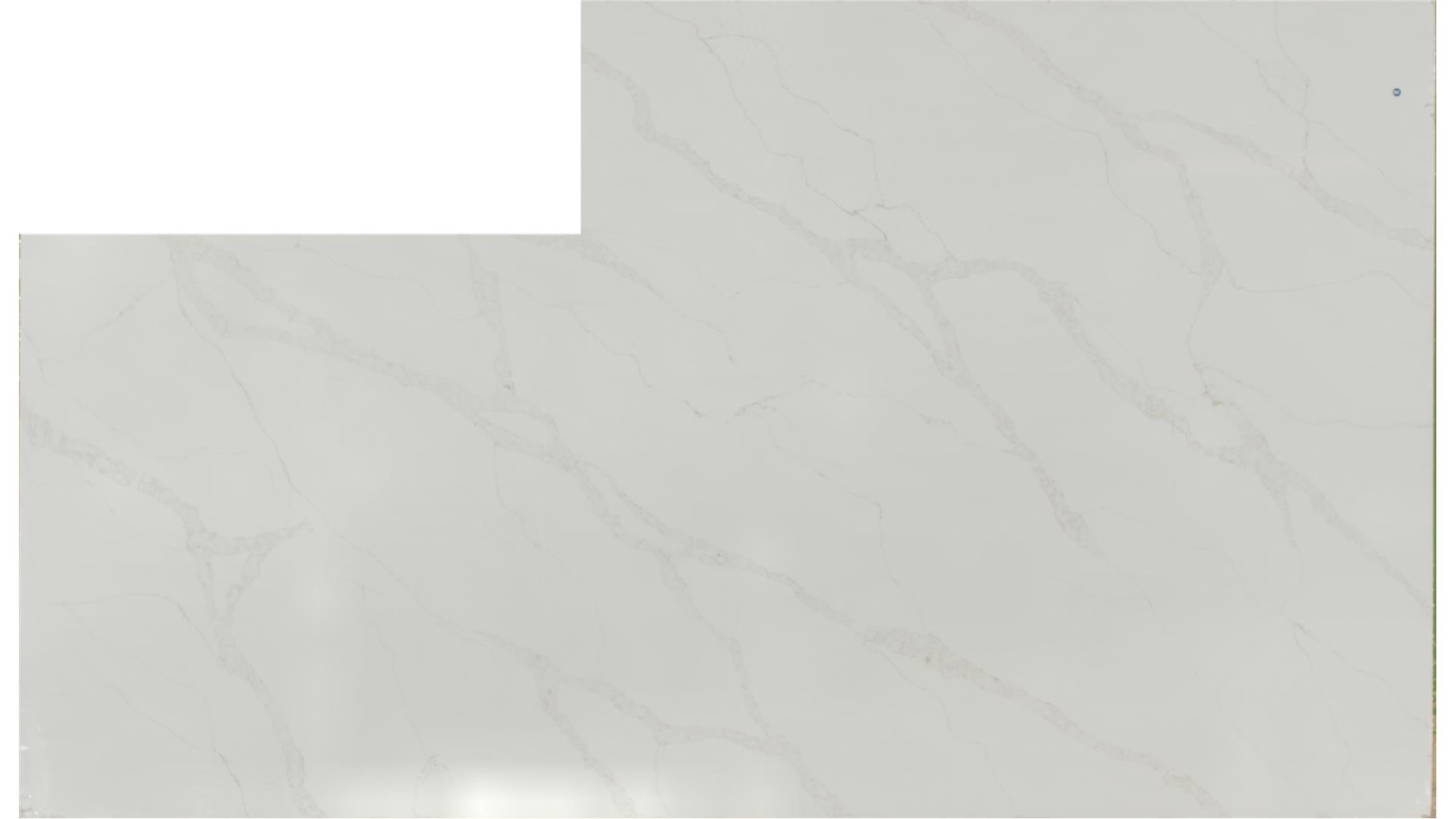 CALACATTA ELYSIO QUARTZ Slabs