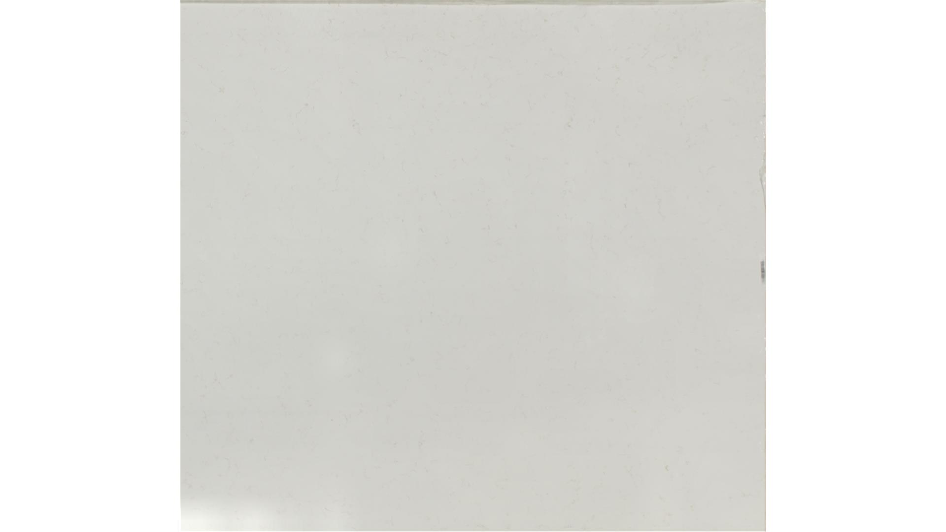 CARRARA ROMA QUARTZ Slabs