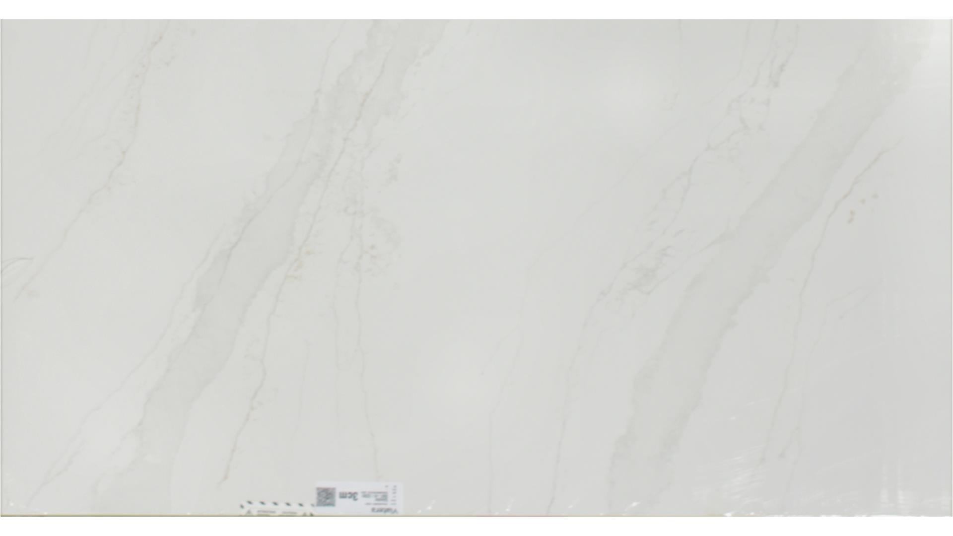 Splendor  QUARTZ Slabs