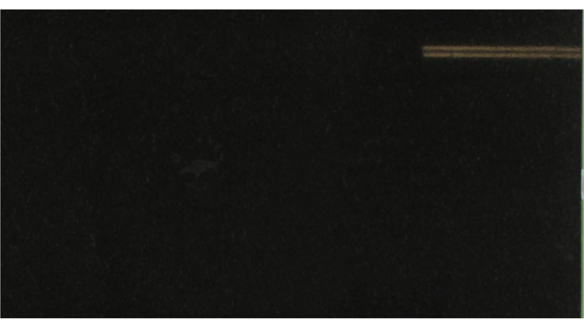 Black Pearl GRANITE Slabs