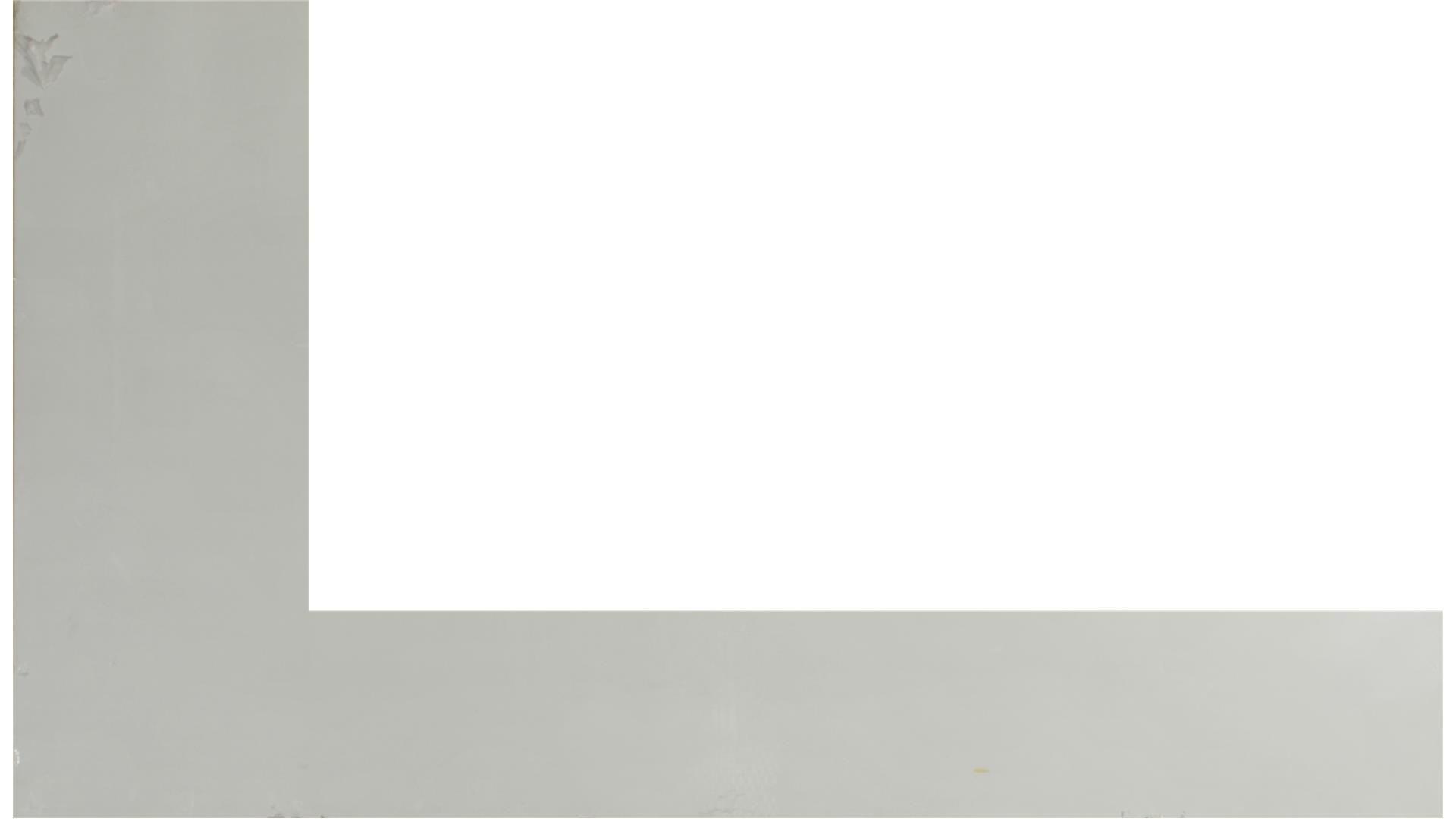 Arctic White QUARTZ Slabs