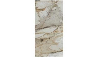 Marmo Antico Porcelain