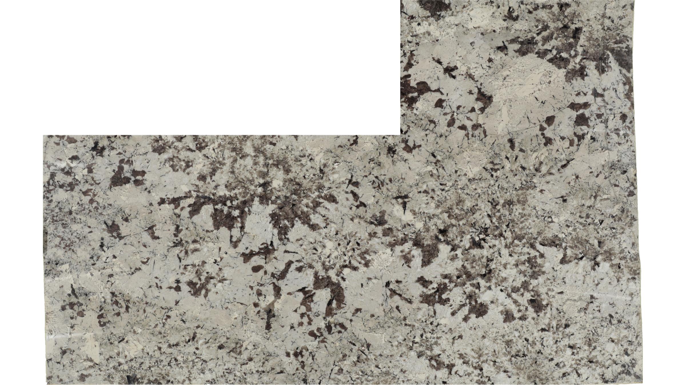 White Splendor Granite Slabs