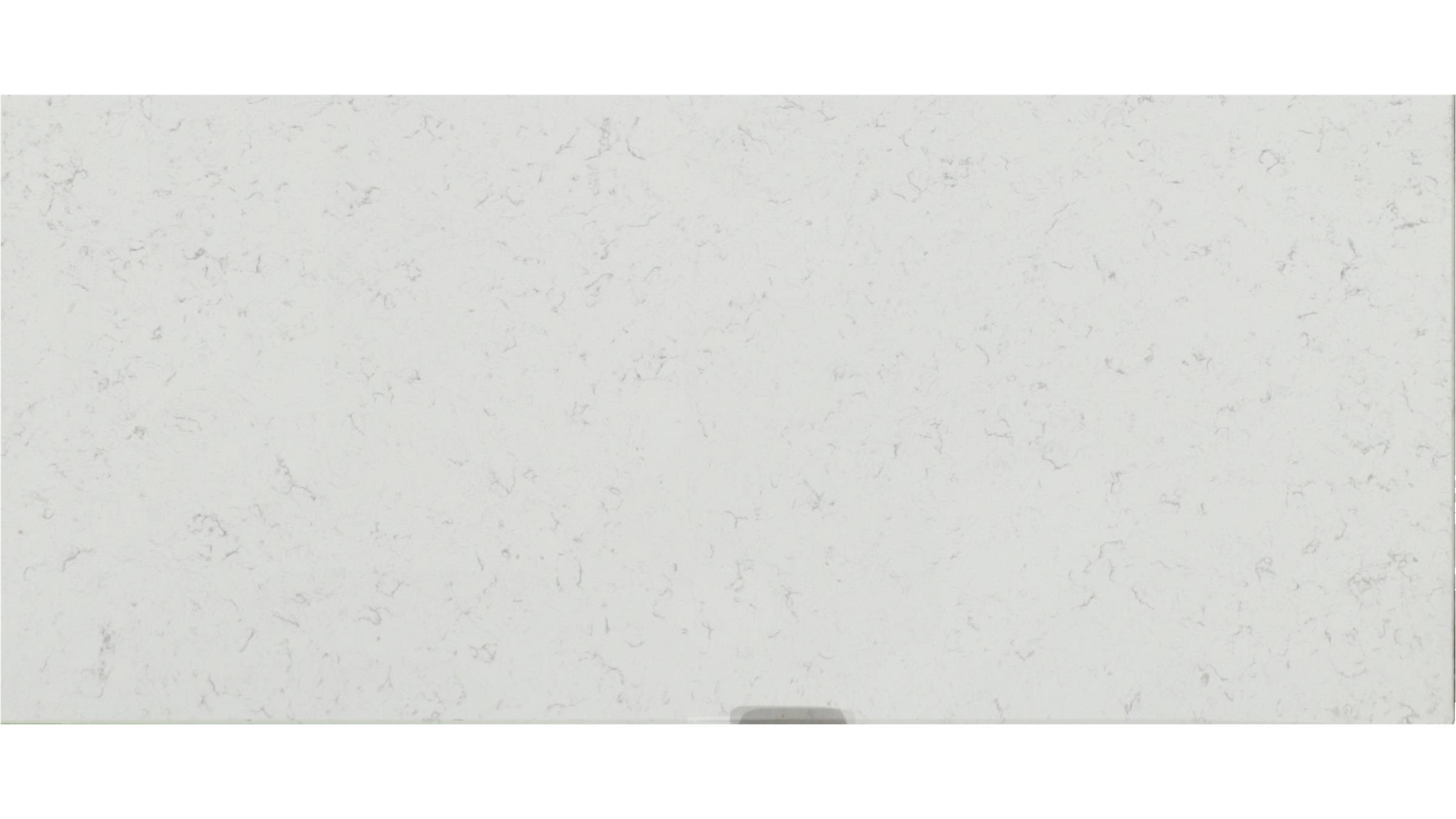 Blanca Statuarietto Quartz Slabs