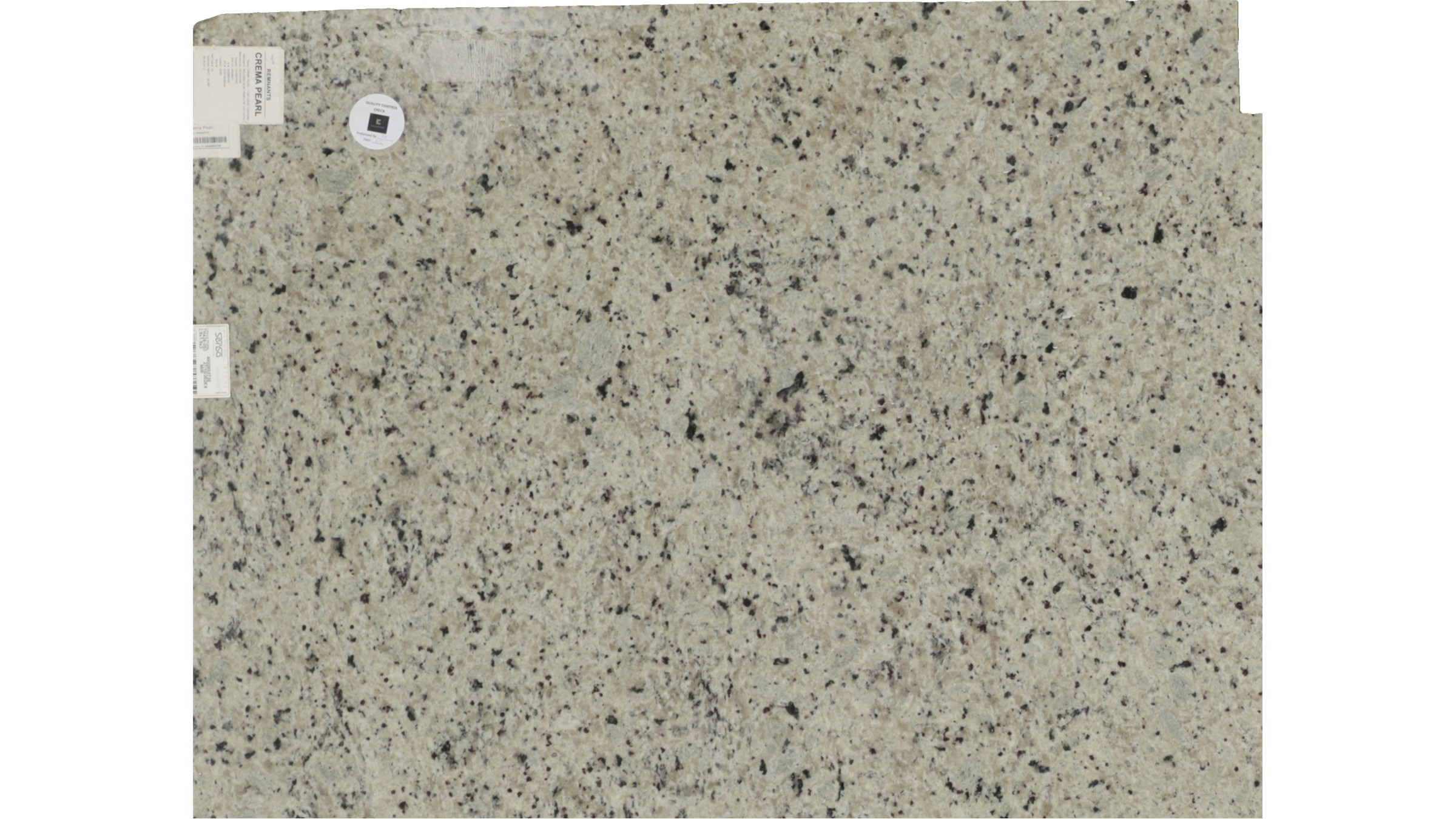 Crema Pearl Granite Slabs