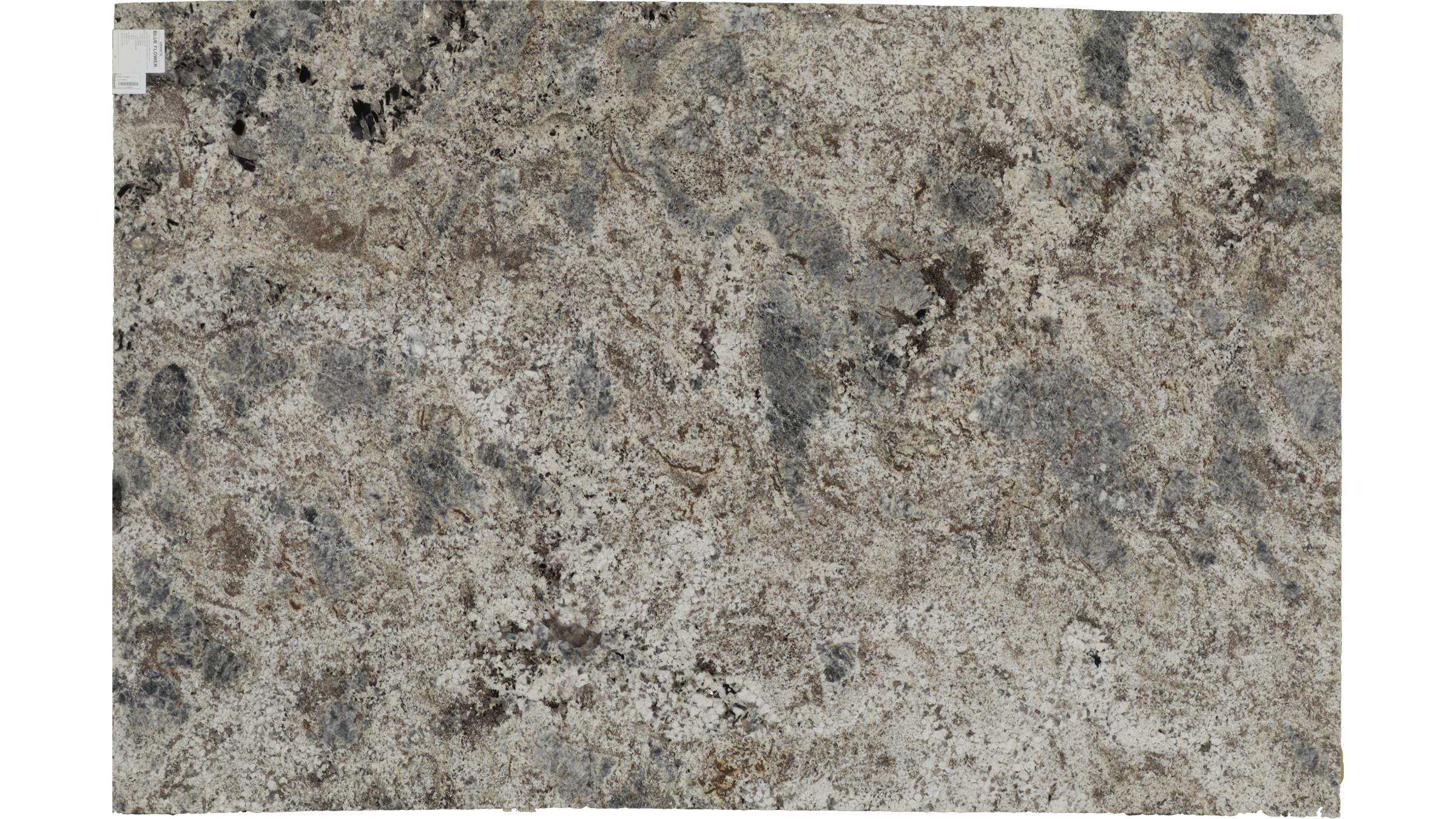 Blue Flower Granite Slabs