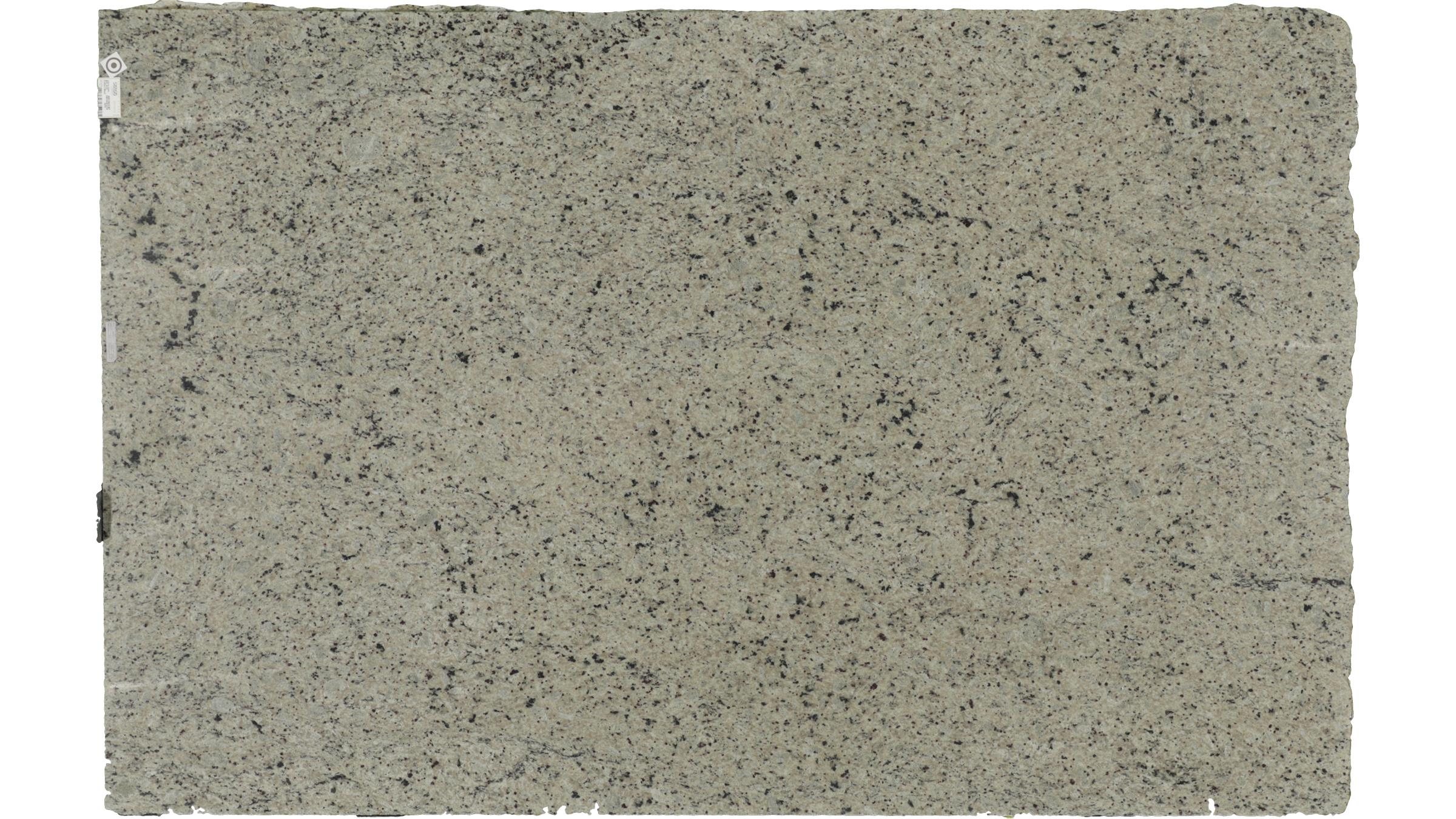 Crema Pearl Granite Slabs