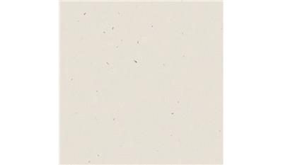 Lincoln White Quartz